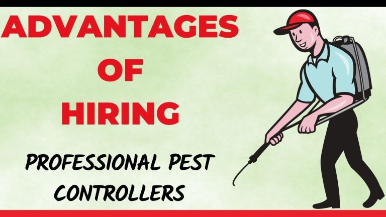Advantages of Hiring Professional Pest Controllers