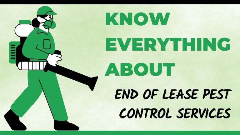 Know Everything About End of Lease Pest Control Services